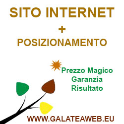 Sito Internet + Posizionamento (Prezzo Speciale)